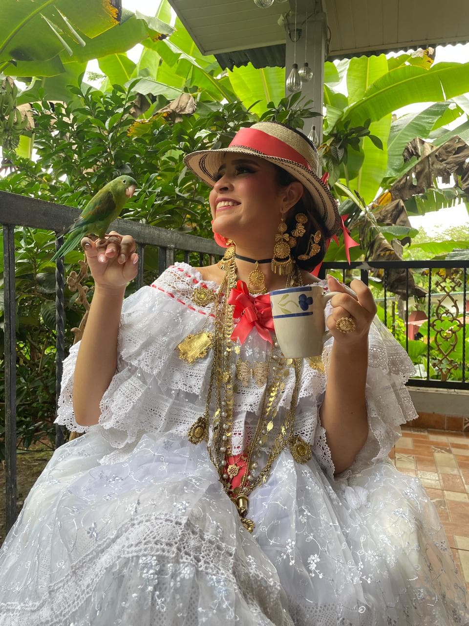 Pollera de organza